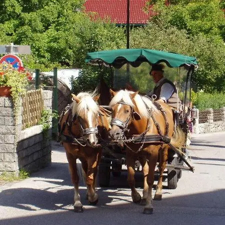 Schafberg *